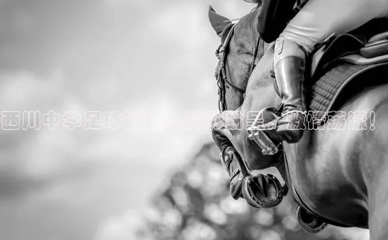 天辰平台官网登录入口百度智能云西川中学足球运动会精彩纷呈，激情荡漾！