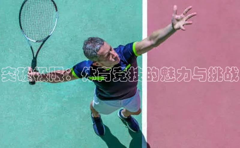 天辰登录连接福石控股突破极限：体育竞技的魅力与挑战