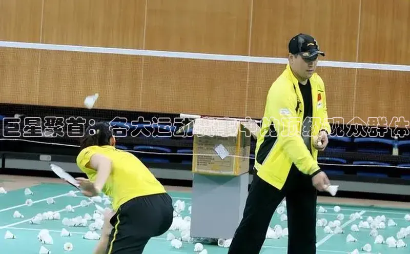 巨星聚首：各大运动赛事中的顶级观众群体