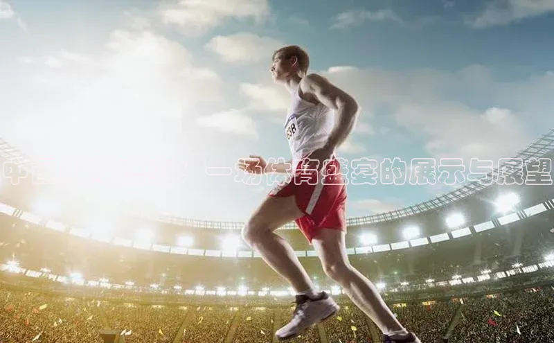 中国排球盛事：一场体育盛宴的展示与展望