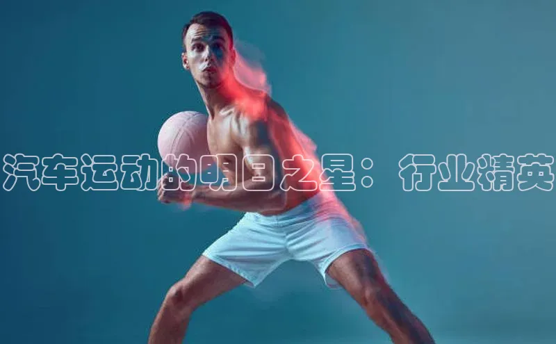 汽车运动的明日之星：行业精英