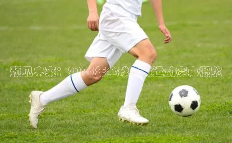 预见未来：2025年全球顶尖运动赛事概览