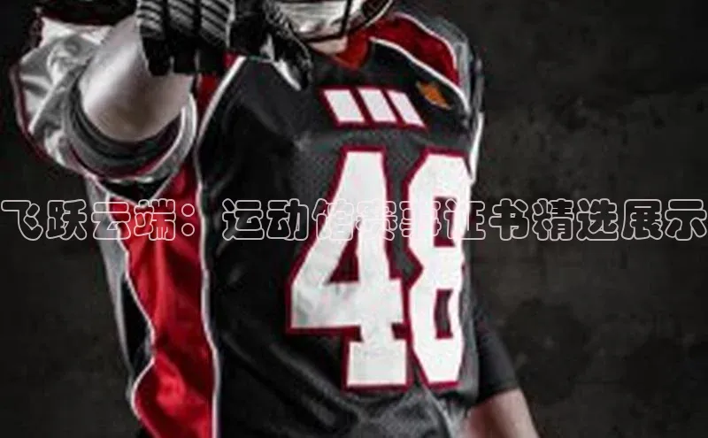 飞跃云端：运动馆赛事证书精选展示