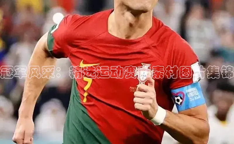 冠军风采：精选运动赛事素材图片集锦