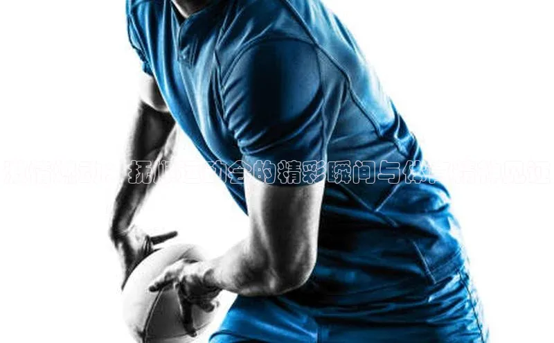 激情燃动：抚顺运动会的精彩瞬间与体育精神见证