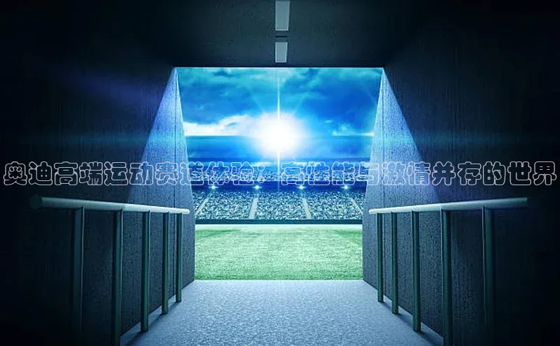 奥迪高端运动赛道体验：高性能与激情并存的世界