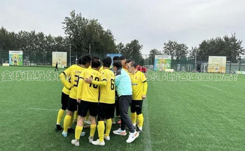 全球顶级体育盛事：哪项运动赛事的含金量最高？