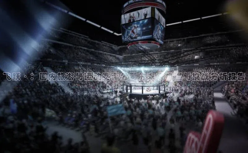 飞跃·：国内旅游与运动赛事公司的未来机遇与挑战分析报告