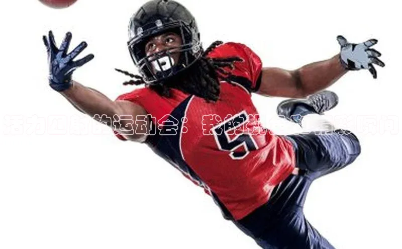 活力四射的运动会：我的视角和精彩瞬间