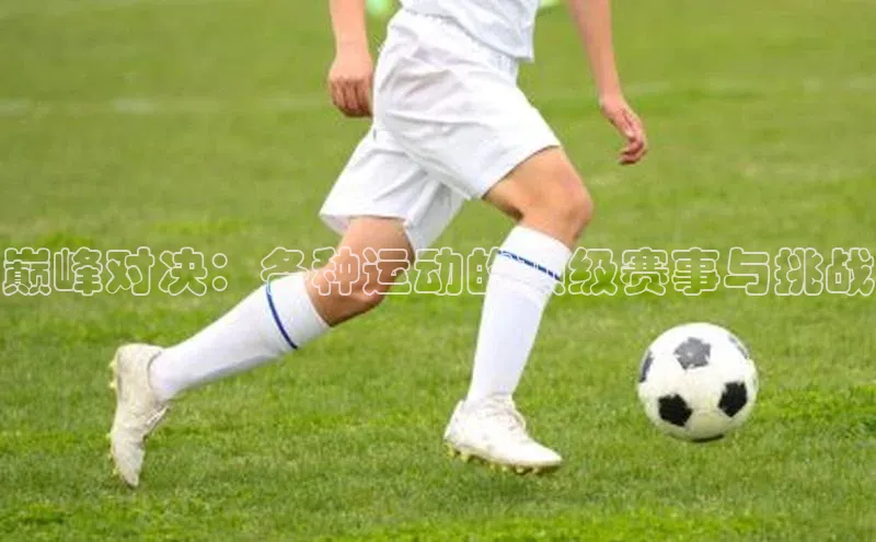 巅峰对决：各种运动的顶级赛事与挑战