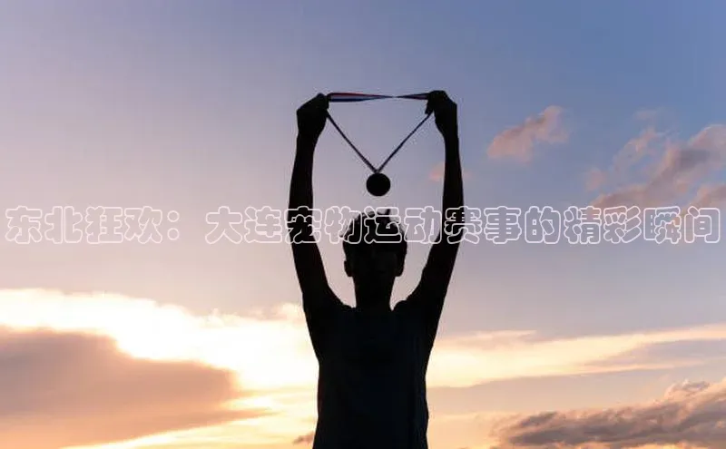 东北狂欢：大连宠物运动赛事的精彩瞬间