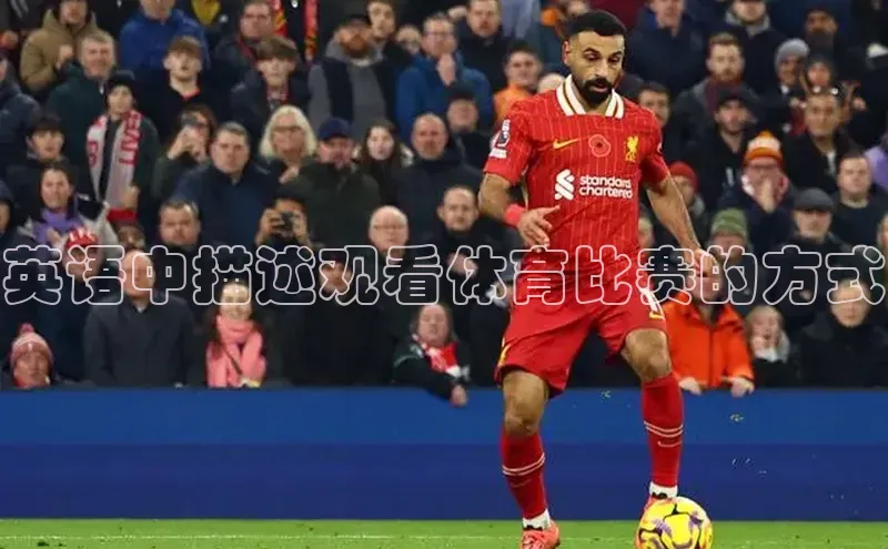 英语中描述观看体育比赛的方式