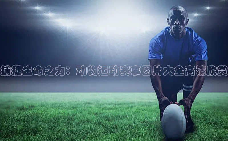 天辰平台app官方下载